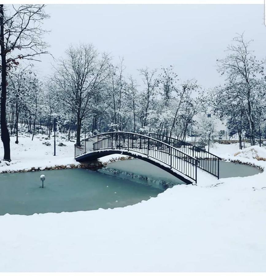 Forest Medugorje Kültér fotó